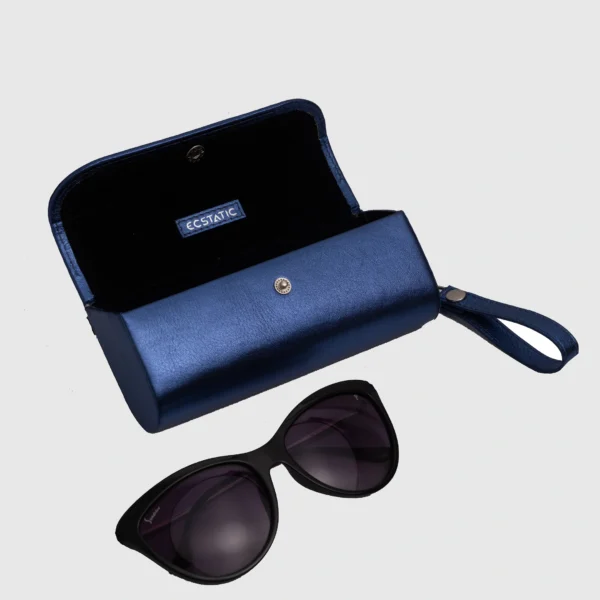 Glint Sunglass Case